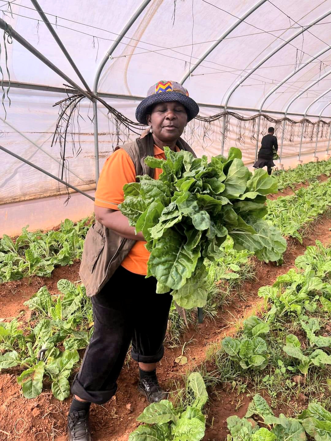 FEMALE FARMER TAKES SOUTH AFRICAN SPINACH TO ROME FOR GLOBAL FOOD SECURITY FORUM